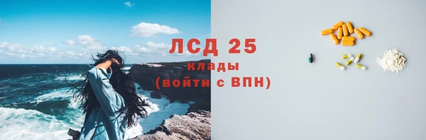 PSILOCYBIN Белокуриха