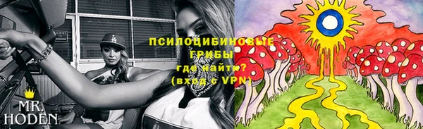 индика Алзамай