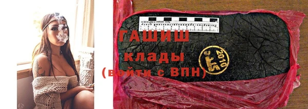 индика Алзамай