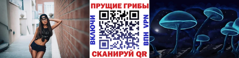 Псилоцибиновые грибы Magic Shrooms  Димитровград 