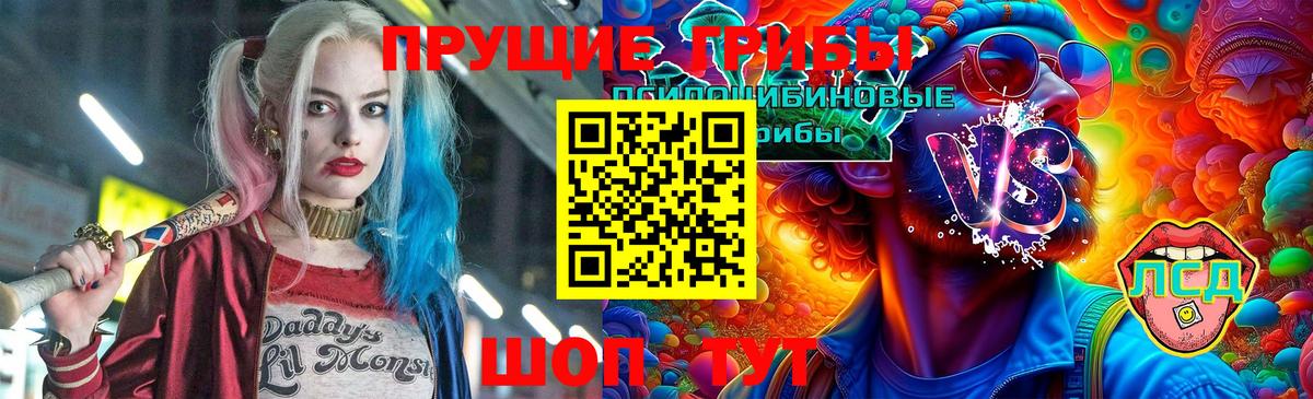 Галлюциногенные грибы MAGIC MUSHROOMS Димитровград