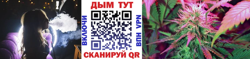 ссылка на мегу сайт  Димитровград  Бошки марихуана планчик 
